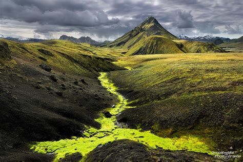 Neon Green And Yellow Moss In The Icelandic Highlands Highlands