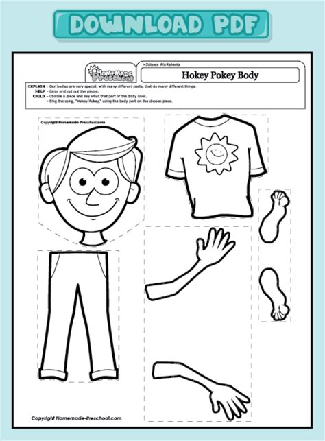 We have worksheets that ask kids to match pictures of parts with their names, match parts with actions, worksheets for hands, feet, mouth, nose, ears. Coloring Pages: Home > Preschool Worksheets > Preschool ...