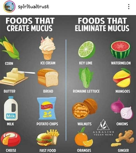 Pin By Patti Floyd On Eo Mucus Creating Foods Vegan News Food