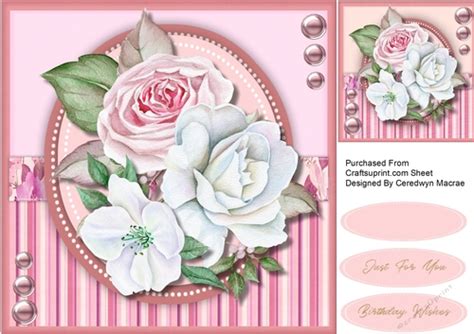 Beautiful Pink Roses Cup9773551398 Craftsuprint