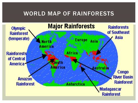 The major areas of tropical rainforests are in south east asia, west africa and south and central america. PPT - Tropical Rainforest PowerPoint Presentation - ID:6810908
