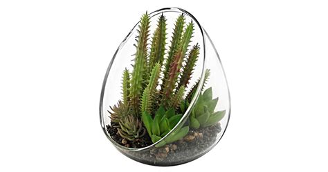 Myt Small Artificial Cactus Plants With Slanted Clear Glass