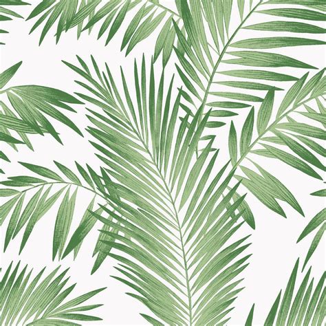 Tropical Aesthetic Wallpapers Top Free Tropical Aesthetic Backgrounds