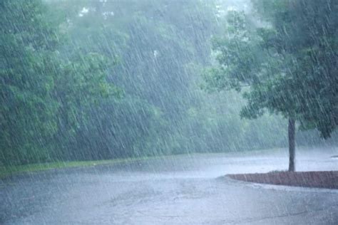 The Meteorological Department Warns Heavy To Heavy