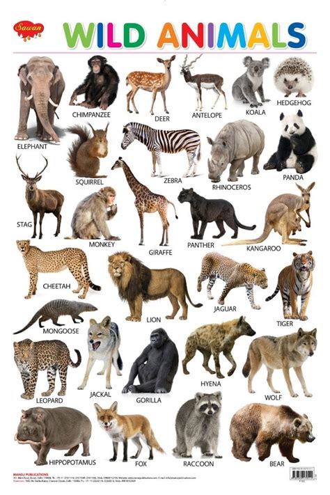 Wild Animals Chart Hellobookmine