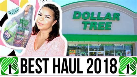 DOLLAR TREE HAUL | NEVER SEEN BEFORE DOLLAR STORE FIND + MORE