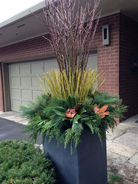 Pin By Diana Damus On Winter Display Plants Outdoor Display
