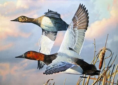 2018 Louisiana Duck Stamp And Print By Tim Taylor Barnels The Art