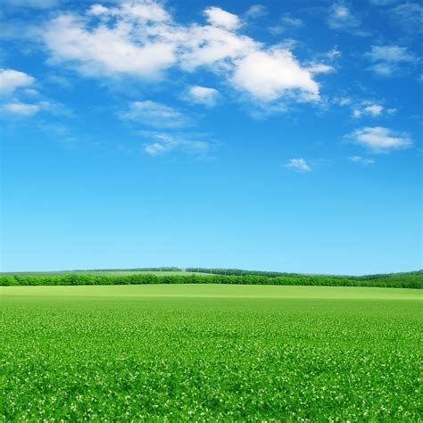 I love seeing the world through the lens of a camera. Why the Sky is Blue