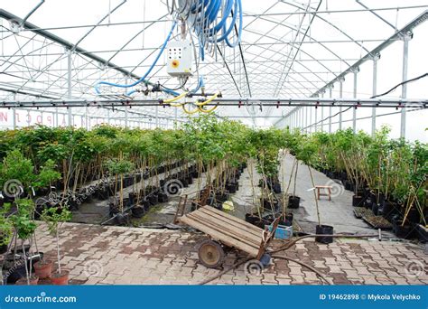 Greenhouse Stock Photo Image Of Life Greenery Agricultural 19462898