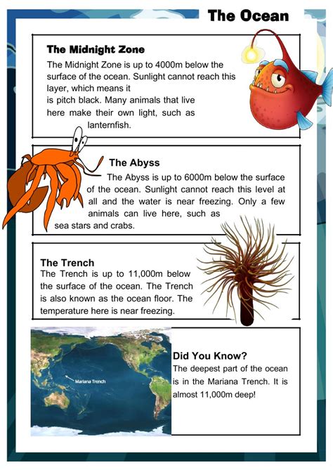The Ocean (Reading Comprehension) worksheet