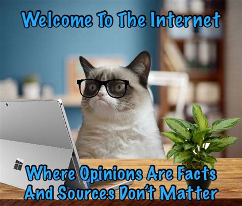 Grumpy Cat Says Welcome To The Internet. Where Opinions Are Facts And