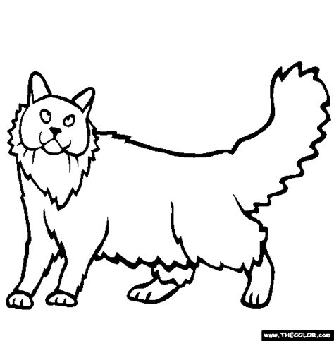 Norwegian Forest Cat Coloring Pages