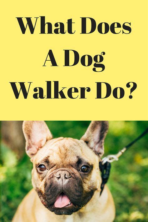If buying insurance is the right thing to do, how do you choose a plan? What Does A Dog Walker Do? | Dog walking insurance, Dogs, Dog activities