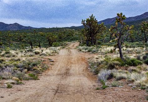 Dirt Road In The Desert Free Stock Photo Public Domain Pictures