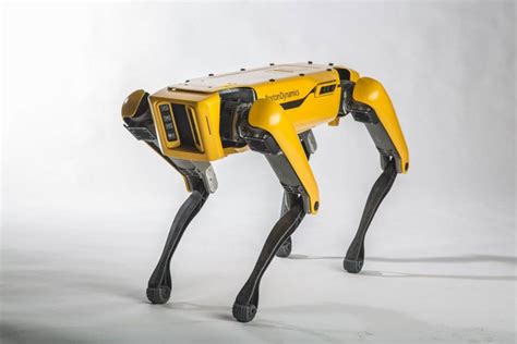 Top 10 Amazing Robots In The World Worlds Top Insider