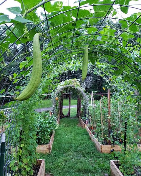 63 Garden Trellis Ideas To Add Beauty To Your Landscape