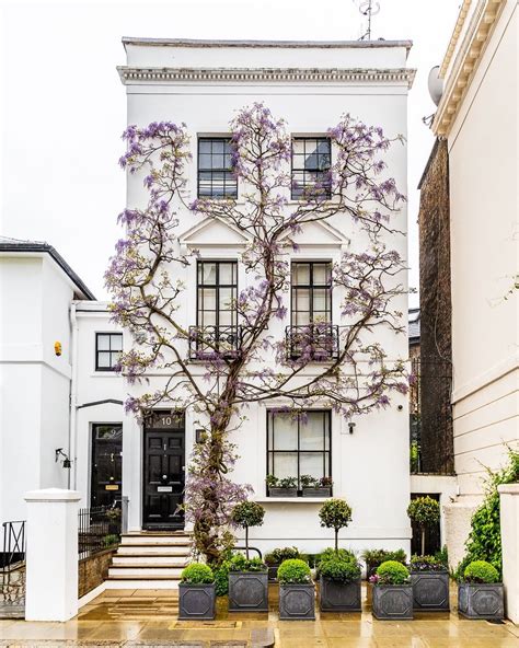 England Travel Check Out The Wisteria Covered Houses In Kensington
