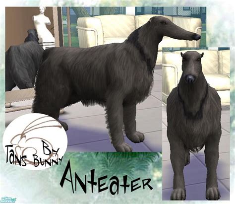 Tansbunnys Anteater Anteater Giant Anteater Sims 2 Pets