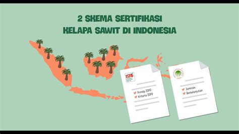 Apa Perbedaan Skema Sertifikasi Kelapa Sawit ISPO Dan RSPO YouTube