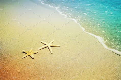 Starfish On A Beach Sand Nature Photos Creative Market