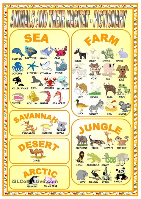 Animal And Their Habitats Worksheets Printable Worksheet Template