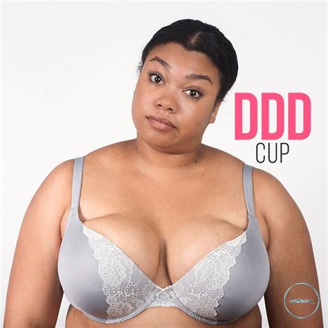 Is Ddd Cup Size Big What Bra Cup Size Is After Ddd Southwarktv