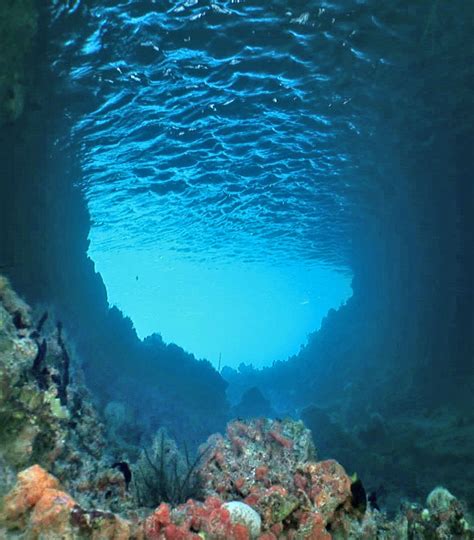 Amazing Underwater