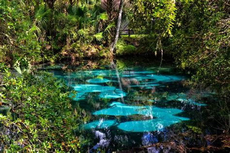 15 Best Florida Springs With Camping You Should Visit Florida Trippers