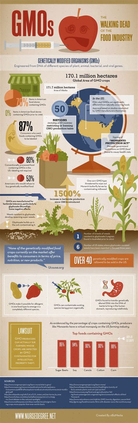 Insight Into Gmos Genetically Modified Organisms Infographic