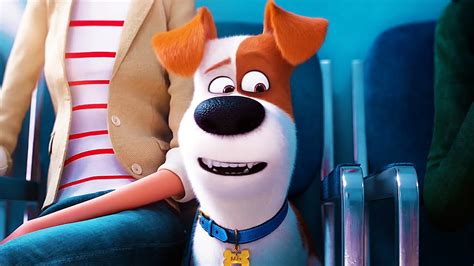 The Secret Life Of Pets 2 Clip Max Goes To The Vet 2019 Youtube