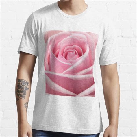 Beautiful Pink Rose T Shirt For Sale By Newburyboutique Redbubble