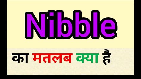 Nibble Meaning In Hindi Nibble Ka Matlab Kya Hota Hai Word