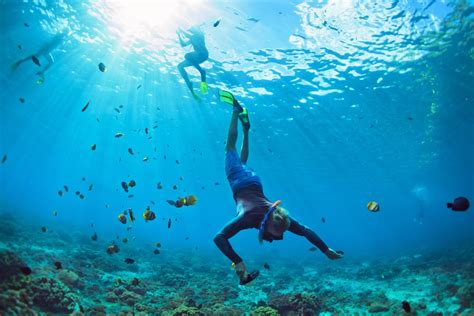 Top 10 Best Snorkeling Places And Beaches In The Caribbean
