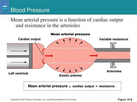 Intra Arterial Blood Pressure Monitoring A Guide To Insertion And Monitoring Excel Medical Com