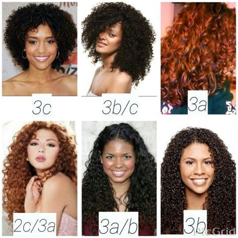 2c 3c Curly Hair Hair Type Chart Curly Hair Types Haircut Types