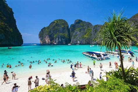 Phi Phi Islands Full Day Tour From Krabi With Lunch Viator
