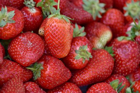 Free Picture Health Strawberries Fruit Delicious Food Berry