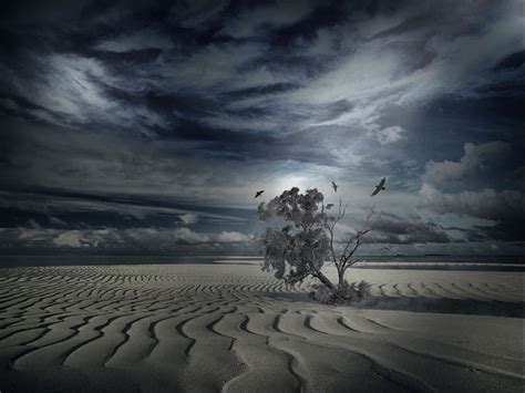 1366x768px 720p Free Download Lonely Desert Tree Art Tree Desert