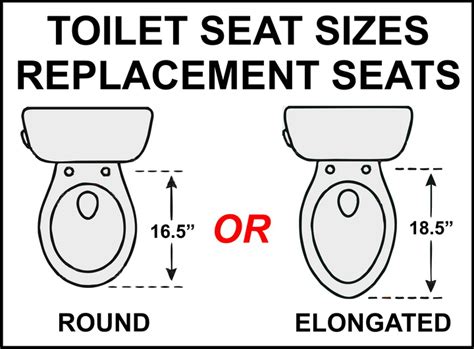 Toilet Seat Sizes And Replacement Round Or Elongated