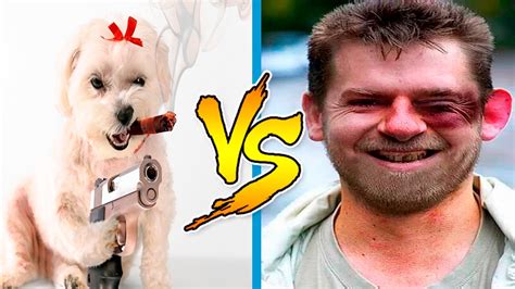 Cats And Dogs Vs People Funny Animals Attack Humans Funny Animals