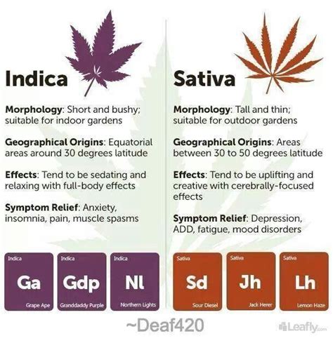 7 Best Images About Sativa Vs Indica Chart On Pinterest The Two