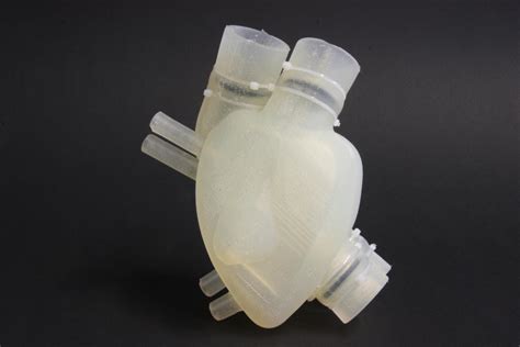 Testing A Soft Artificial Heart Research And Development World