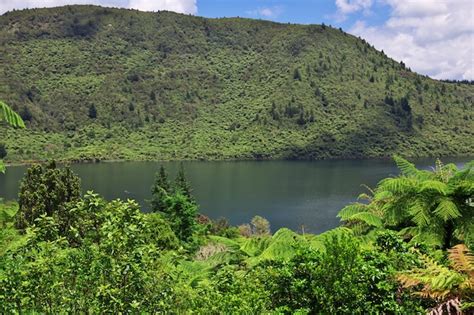 Premium Photo Green Lake In Rotorua In New Zealand