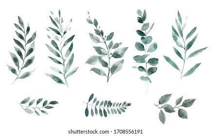 Watercolor Clipart Green Leaves Tropics Leaves 库存插图 1708556191