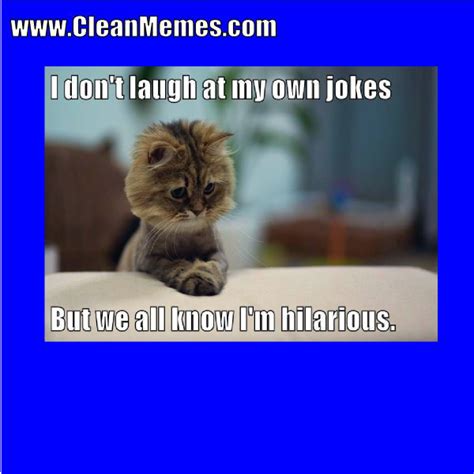 620 x 538 jpeg 61 кб. Cat Memes | Clean Memes | Page 5