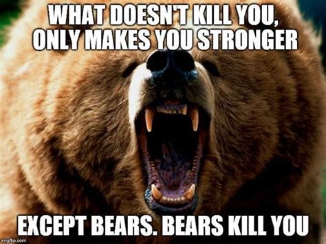What Doesnt Kill You Only Makes You Stronger Except Bears Bears