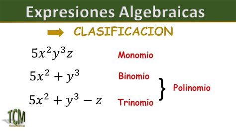 Clasificación De Las Expresiones Algebraicas Youtube