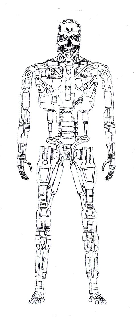Image T 800 V1 Endoskeleton Terminator Wiki Fandom Powered By