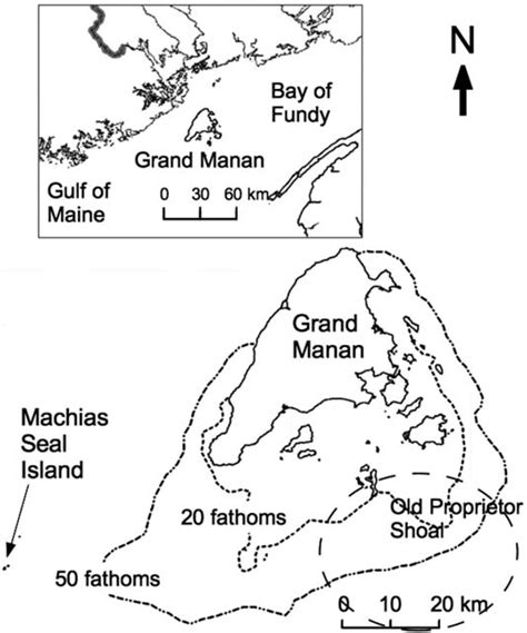 Map Of The Grand Manan Region New Brunswick And The Area Around Old